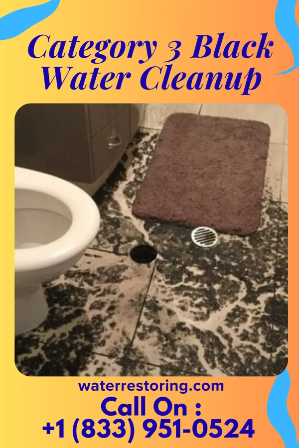 Category 3 Black Water Cleanup in Farwell, MI