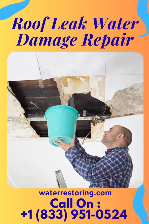 Roof Leak Water Damage Repair in Farwell, MI