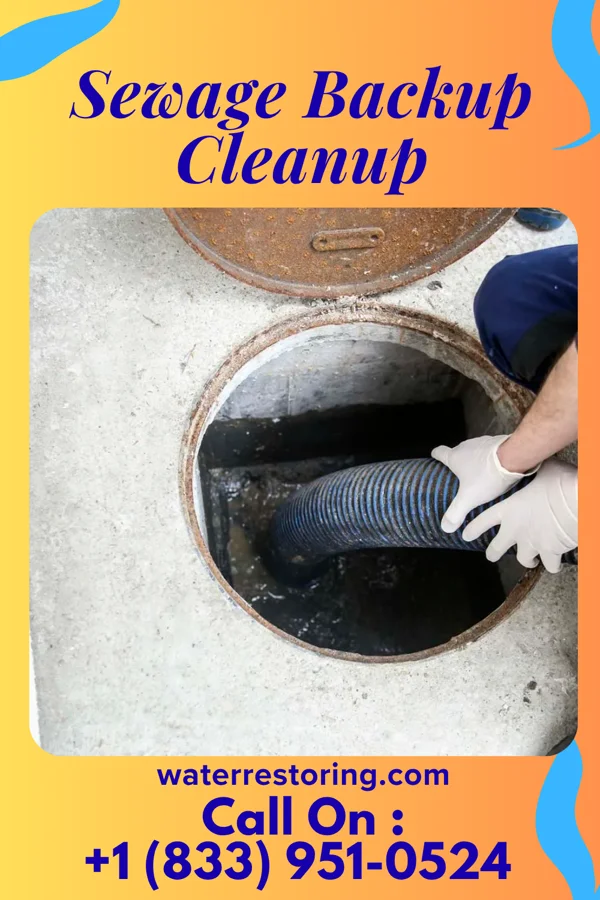 Sewage Backup Cleanup in Farwell, MI