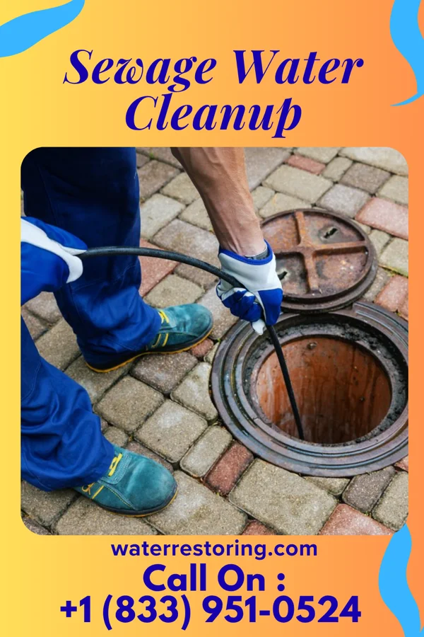 Sewage Water Cleanup in Farwell, MI